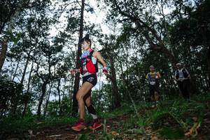 BIB: 
                            <button type="button" onclick="openModal(22570018)" class="btn btn-primary btn-sm float-right btn-popup" data-toggle="modal" data-target=".modal-high-quality">
                        <i class="fas fa-shopping-cart"></i> Add to Cart
                    </button>
                                            <button type="button" onclick="isThisMe(22570018, true)" class="btn btn-success btn-sm float-right btn-popup btn-isme hidden" data-toggle="tooltip" data-placement="bottom" title="นี่คือรูปของคุณใช่ไหม คลิกที่นี่เพื่อเอาเข้าอัลบั้ม">
                        <i class="fas fa-plus"></i> Add to album
                    </button>
                    <button type="button" onclick="isThisMe(22570018, false)" class="btn btn-warning btn-sm float-right btn-popup btn-isnotme hidden">
                        <i class="fas fa-ban"></i> Remove from album
                    </button>